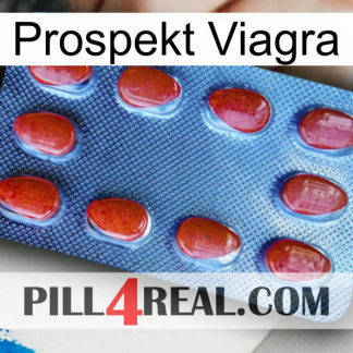 Prospecto Viagra 06